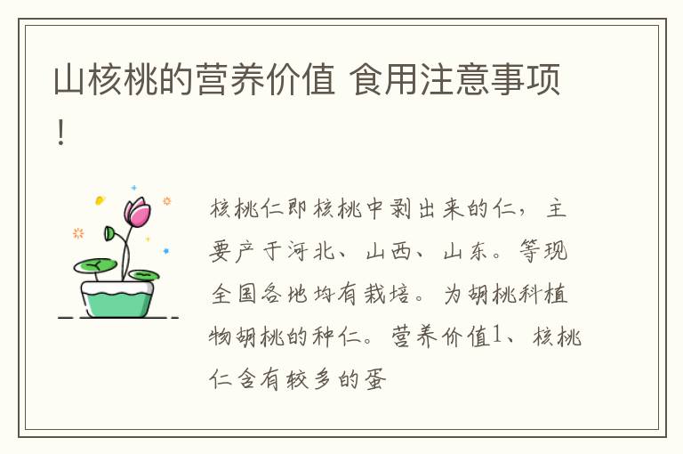 食用注意事项！ 山核桃的营养价值