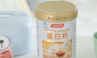 蛋白粉的作用介绍 蛋白粉的作用是什么