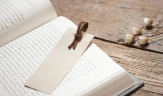 狮的组词有哪些呢 狮怎么组词