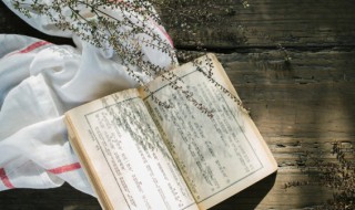 钢是怎样组词 钢怎么组词