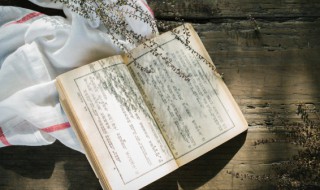 肢如何组词 肢怎么组词