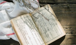 菜组词是什么 菜怎么组词