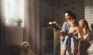 插的组词介绍 插怎么组词