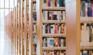 玷如何组词 玷怎么组词