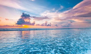 你知道形容白鹭美的好句吗 形容白鹭的美的好句