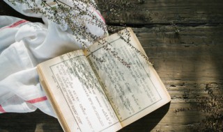 好的故事简单介绍 好的故事表达了作者什么思想感情