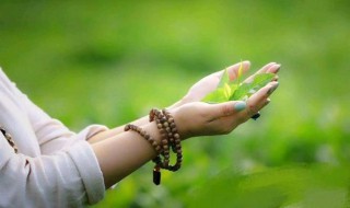 心之向往安之若素解释 心之向往安之若素什么意思