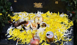 关于清明说说看哭了的话 清明说说看哭了的话