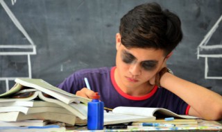 如何用简洁的语言概括文章的主要内容 请用简洁的语言概括