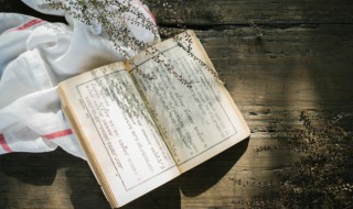 宫可以组什么词 供可以组什么词