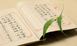 博可以组什么词语和拼音 博可以组什么词