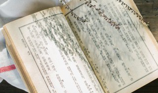 扬可以组什么词 杨可以组什么词