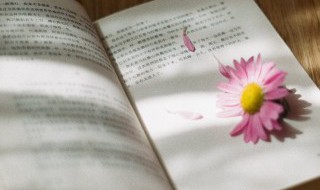 界可以组什么词 田可以组什么词
