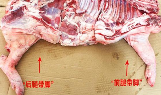 不同位置口感不一样别买错了 教你区分猪肉前腿肉和后腿肉图片