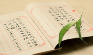 埋能组什么词 埋可以组什么词