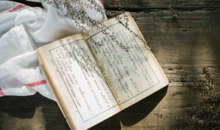 比可以组什么词 比能组什么词