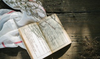 绿柳舒眉辞旧岁后面是什么 绿柳舒眉辞旧岁的下一句