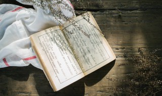 骆驼祥子读后感分享 骆驼祥子读书笔记300字