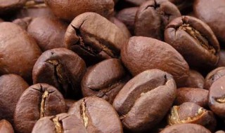 cacao和cocoa区别介绍 cacao和cocoa区别