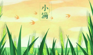 小满古诗带拼音精选 小满古诗带拼音