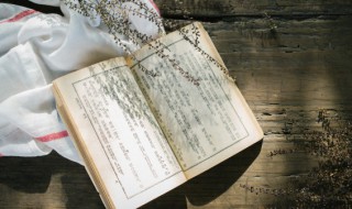 白玉为堂金作马的意思 白玉为堂金作马啥意思
