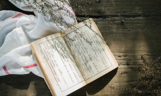 晋是什么意思 晋的组词