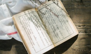 蛛与蚕介绍 蛛与蚕文言文翻译