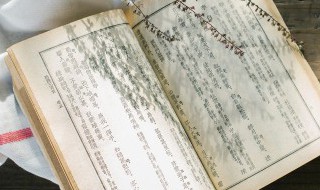 游石笼记文言文如何翻译 游石笼记文言文翻译