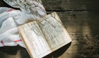 割是什么意思 割的组词