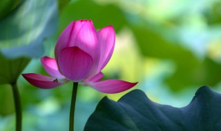 四季开始的四个节气 四季开始的四个节气是什么