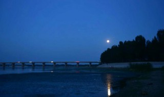 月夜反应的节气介绍 月夜反应的节气是什么