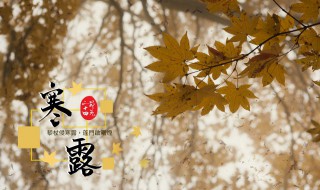 节气寒露的解释 节气寒露是什么意思