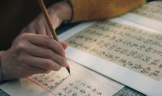 朴素有什么近义词 朴素的近义词是什么