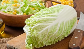 大白菜什么朝代发明 大白菜是哪个朝代才有的