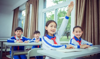 飞入菜花无处寻得上一句是什么 飞入菜花无处寻得上一句