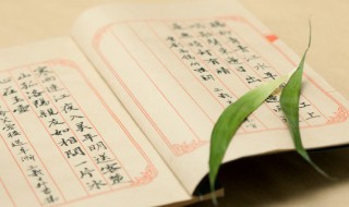 山鸡献楚文言文翻译及原文 山鸡献楚文言文翻译