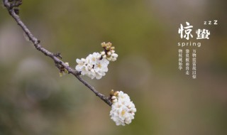 惊蛰的含义 节气惊蛰怎么读
