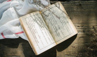 廿七的含义 廿七怎么读