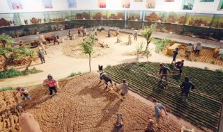 农耕文化的起源和发展介绍 农耕文化的起源和发展