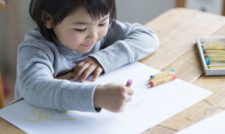 在学习的时候建议先学素描然后再学习彩铅对吗 先学素描还是彩铅素描