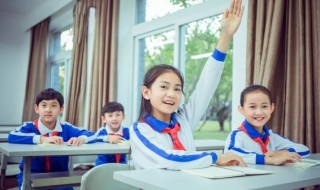 体可以组什么词语 体可以组什么词