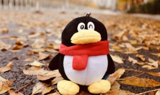 qq壁纸如何更换 qq壁纸怎么换