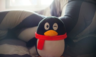 QQ上如何查看已被屏蔽的联系人 怎么查看qq屏蔽的人