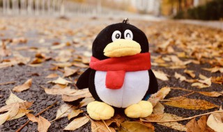 设置群头衔的方法 怎么设置群头衔