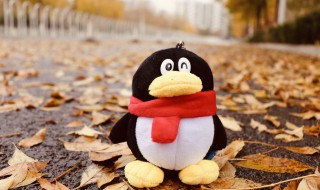 手机如何设置QQ透明头像 手机qq透明头像图片怎么改