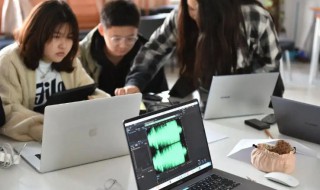 综合应用能力考的内容 综合应用能力考什么