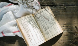 虎字开头的四字成语有哪些 虎字开头的四字成语