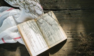 辨字简单介绍 辨的拼音