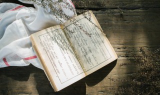 带家字的诗句有哪些 带家字的诗句