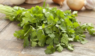 香菜煮水的营养价值介绍 香菜煮水的营养价值
